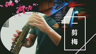 費玉清 《一翦梅 》 Xue Hua Piao Piao 薩克斯風演奏