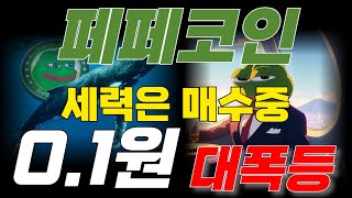 페페코인 드디어 세력들이 매집중?! 목표가는 0.1원!!  그리고 700만원에서 20억 버는 매매법?!   밈코인으로 부자되는 법!