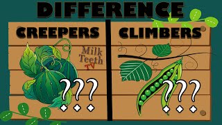 Difference between Climbers and Creepers explained with examples For Kids Grade 3 4 and 5 EVS