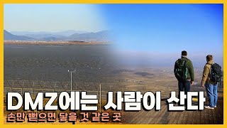 두 외국인의 눈으로 보는 DMZ는 어떤 모습일까? DMZ에 살고 있는 사람들의 이야기 KBS 20201226