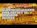 Números para hoy 10 y 11 de agosto del 2024 🍀💰🍀💰🍀