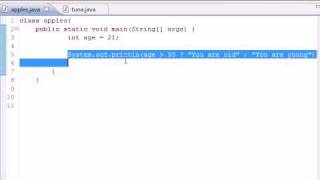 Java Programming Tutorial - 20 - Conditional Operators.flv