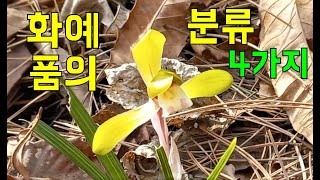 한국춘란 산행/화예품의 분류4가지 소심 주금화 황화 두화