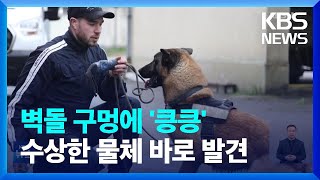 [글로벌K] 파리 올림픽 앞두고 폭발물 탐지견 훈련 / KBS  2024.03.20.