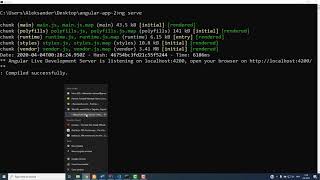 Angular + routing + REST API access