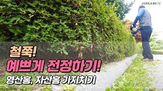 철쭉! 예쁘게 전정하기.. 영산홍, 자산홍 가지치기 / Pruning azaleas neatly ツツジをきれいに剪定