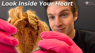 How Your Heart Pumps 10,000 Liters a Day