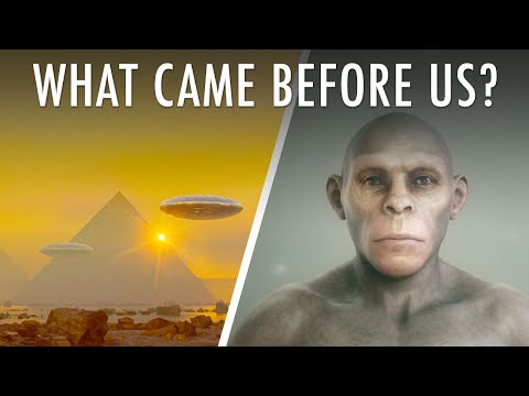 What came before humans?