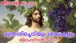 ജീവന്റെ വചനം : word of god : john 15/1-17: johnson kk