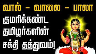 'வால்-வாலை-பாலா' - குமரிக்கண்ட தமிழர்களின்  சக்தி தத்துவம்! | AtoZ Tamil | Kumarikandam | Anjaneyar