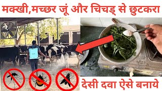 मक्खी,मच्छर जूं और चिचड् से छुटकरा । makhi machar marne ka gharelu upay । veer dairy farm ।