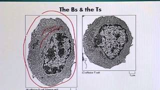 BIO201_Topic122