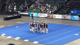 Decatur Cheer -State 2016-17