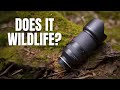 TAMRON 70-180 2.8 from a WILDLIFE Photography Perspective - Lens Review