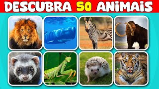 ADIVINHE O ANIMAL EM 5 SEGUNDOS | Só 1% acerta todos