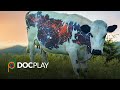 Meat the Future | Official Trailer | DocPlay