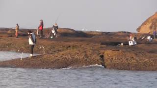 今朝の田辺天神崎の釣人　１２月８日木曜日