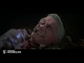 fright night 1985 dawn arrives scene 9 10 movieclips