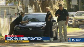 Pinellas County deputies investigate 'disturbance' in Palm Harbor