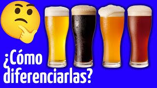 🍻 TYPES of BEER 🔴 [According to its FERMENTATION] 😎