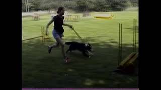 75 Jahre HUNDESPORT in DEGERLOCH  2002