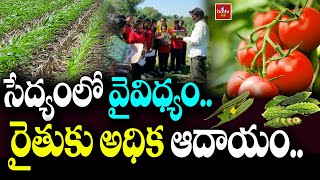 సేద్యంలో వైవిధ్యం.. రైతుకు అధిక ఆదాయం | Cultivation..High income To the farmer NelaTalli | hmtv Agri