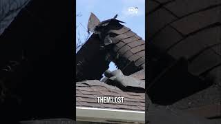 St. George apartment building destroyed in fire