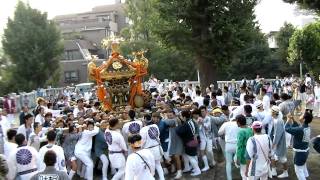 H22　（五反田）氷川神社　本社神輿渡御　１