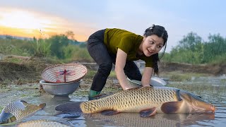 Harvesting Fresh River Fish \u0026 Crafting a Delicious Farm-Style Fish Salad Feast!