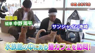 「ねこ自慢」11/8(水)よる11時は…水族館にある猫カフェを訪問！さらに女性ドリフトレーサーを支える三匹の猫をご紹介！