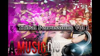 Tribal Ethnic House   Percussion Loops and Samples