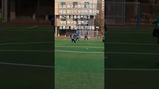 요즘 요동싸커 축구도 잘하고 재ㅐ미ㅆㄴ%@ 어..?      #소신발언 #해외밈 #유머 #요동싸커 #soccer