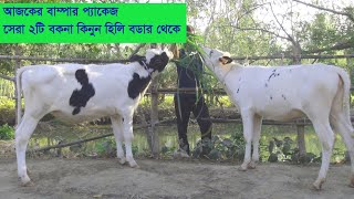 আজকের বাম্পার প্যাকেজ।।দেশ সেরা ২ টি বকনা নিয়ে আবারো চমক।।