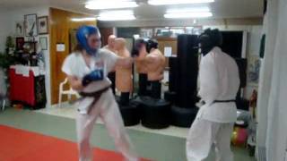 The Physics of Karate