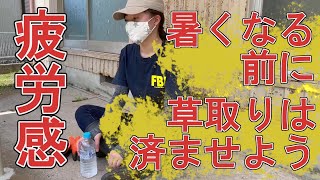 初心者なら【ナイロンコード式草刈機】で草取りするとケガしないよ！