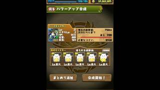 【パズドラ実況】　パズドラ　孫権　究極　させたよー★　副属性　木　の　孫権　に究極させてみました★　ステ詳細も見れます★