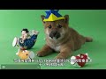 马斯克再次喊单狗狗币，doge狂暴大牛市会上10美金吗？meme币会再次崛起吗？人民的货币会再次高光时刻吗？dogecoin to the moon！