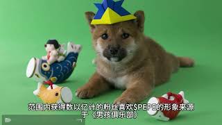 马斯克再次喊单狗狗币，DOGE狂暴大牛市会上10美金吗？Meme币会再次崛起吗？人民的货币会再次高光时刻吗？Dogecoin To The Moon！