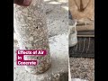 effect of air in concrete