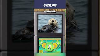 沒想到你是這樣的海獺！#shorts