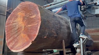 Extremely Wood Cutting Sawmill Working Strong | Sawn Wood & Wood Drying In The Factory