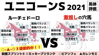 【ユニコーンステークス2021】好馬体ルーチェドーロだがあの穴馬でKO勝ちを収めようじゃないか！【馬体評価】