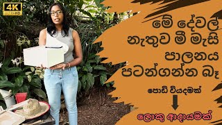 Beekeeping 014: මී මැසි පාලනය පටන් ගන්න අත්‍යවශ්‍ය දේවල් | Beekeeping Gear for Beginners.