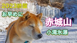 【群馬県 赤城山】小沼の小滝氷瀑を愛犬と見に行ってきました。2023.02.05