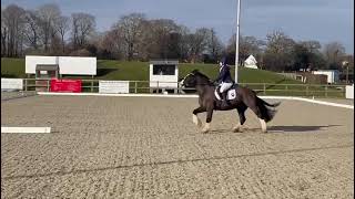 prelim 7 @ Crofton manor No Stress Dressage compition.