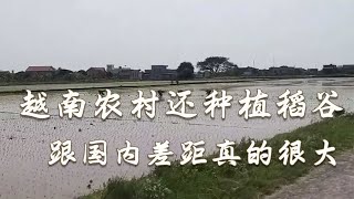 越南农村还在种植稻谷，跟国内差距真的很大