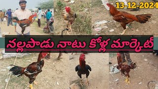 నల్లపాడు నాటు కోళ్ల మార్కెట్ (సంత) || today 13/12/24 || నాటు కోళ్లు మరియు వాటి ధరల వివరాలు ||