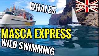 Masca Express - Whales and Wild Swimming Tenerife