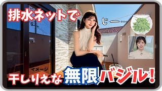 【小林李衣奈】『私のバジ感で言うとこの乾燥は嬉しみｗ』「活用上手なりーちゃんの 無限バジルトーク！」【ウェザーニュース】20250221