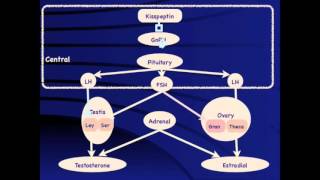 GROW Society Module Precocious puberty in boys